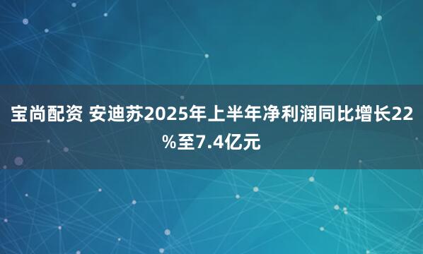 宝尚配资 安迪苏2025年上半年净利润同比增长22%至7.4亿元