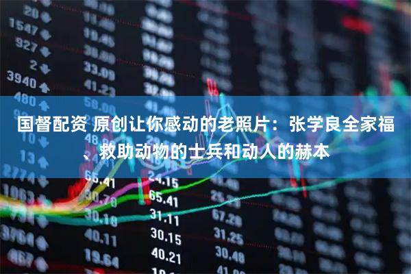 国督配资 原创让你感动的老照片：张学良全家福、救助动物的士兵和动人的赫本