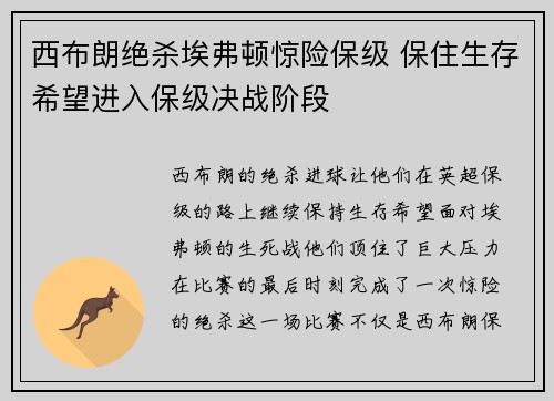 西布朗绝杀埃弗顿惊险保级 保住生存希望进入保级决战阶段