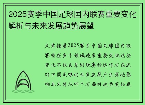 2025赛季中国足球国内联赛重要变化解析与未来发展趋势展望