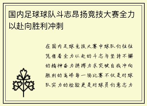 国内足球球队斗志昂扬竞技大赛全力以赴向胜利冲刺